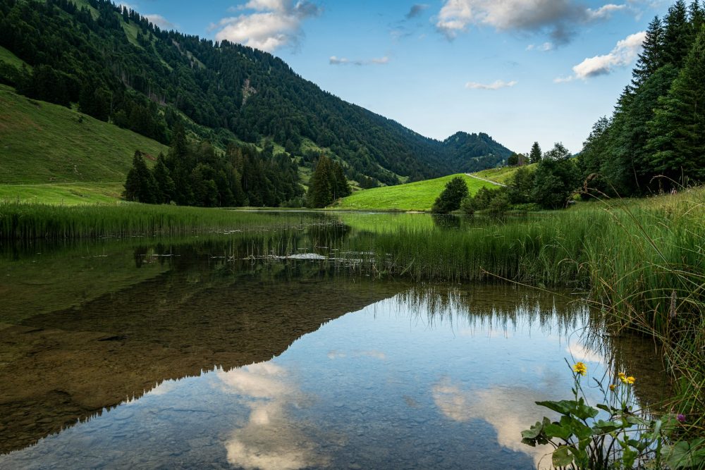 Your Ultimate Travel Guide to the Paradise on Earth, Bregenzerwald, Austria