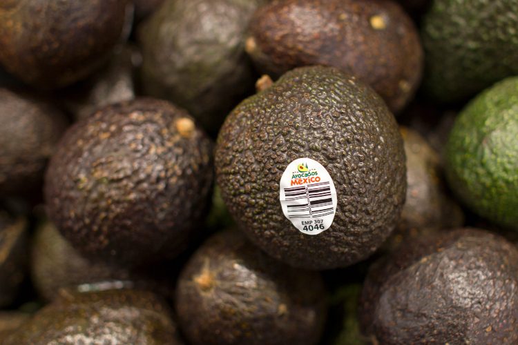 United States Suspends Avocado Imports from Mexico