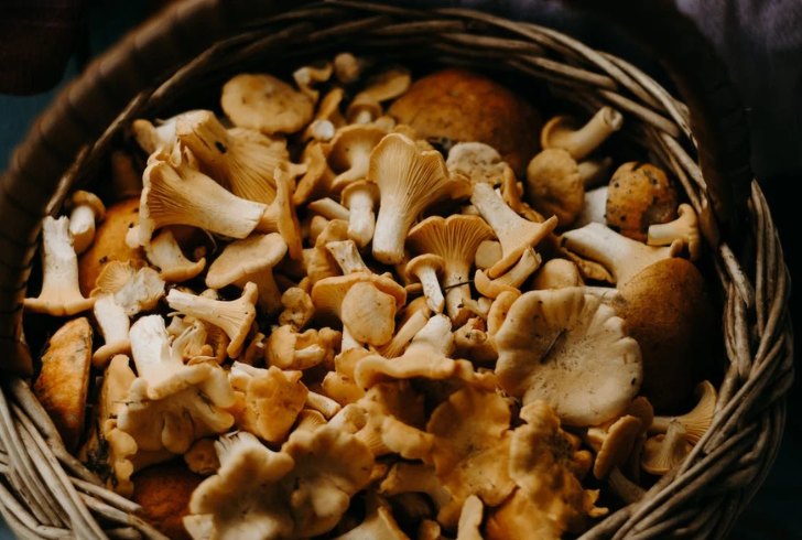 Vitamin D from mushrooms is a bioavailable option for vegans and vegetarians.